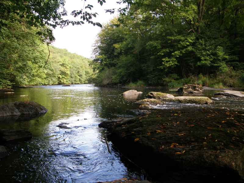 photo 8 promenade  Ourthe Nadrin Houffalize